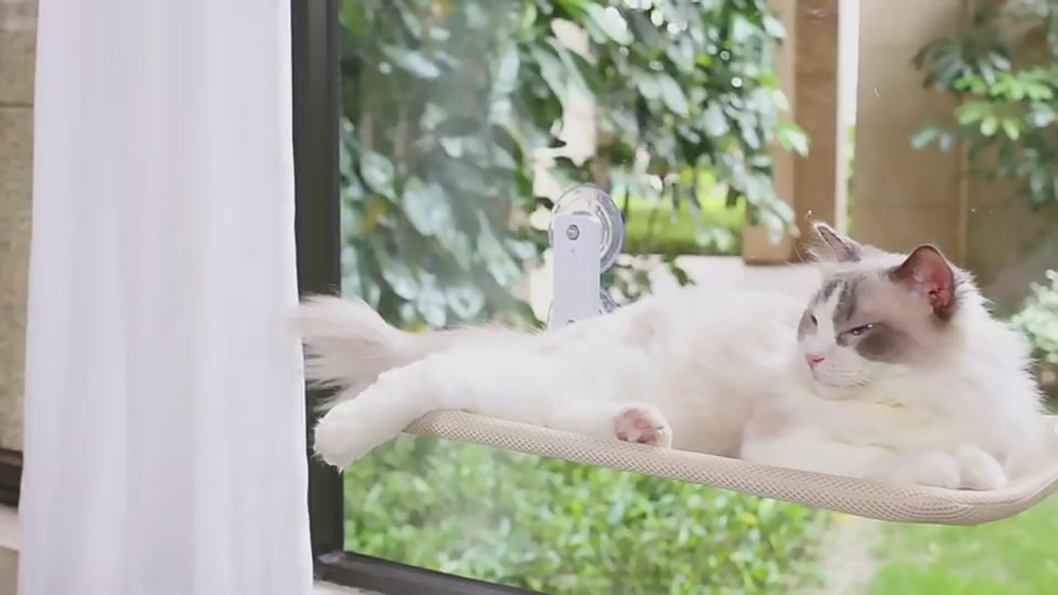 Cordless Cat Window Perch Hammock Bed