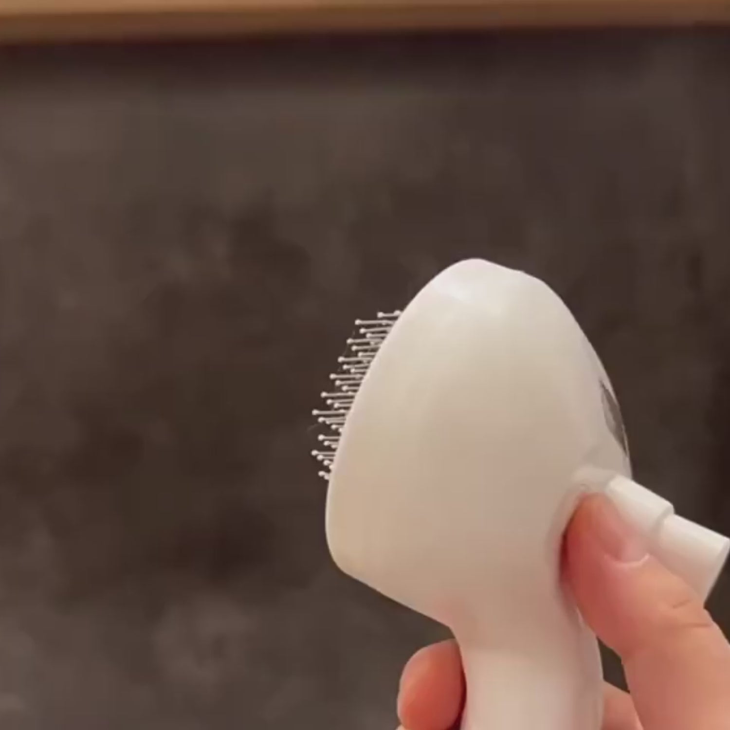 Cat & Dog Spray Grooming Comb Hair Remover Brush