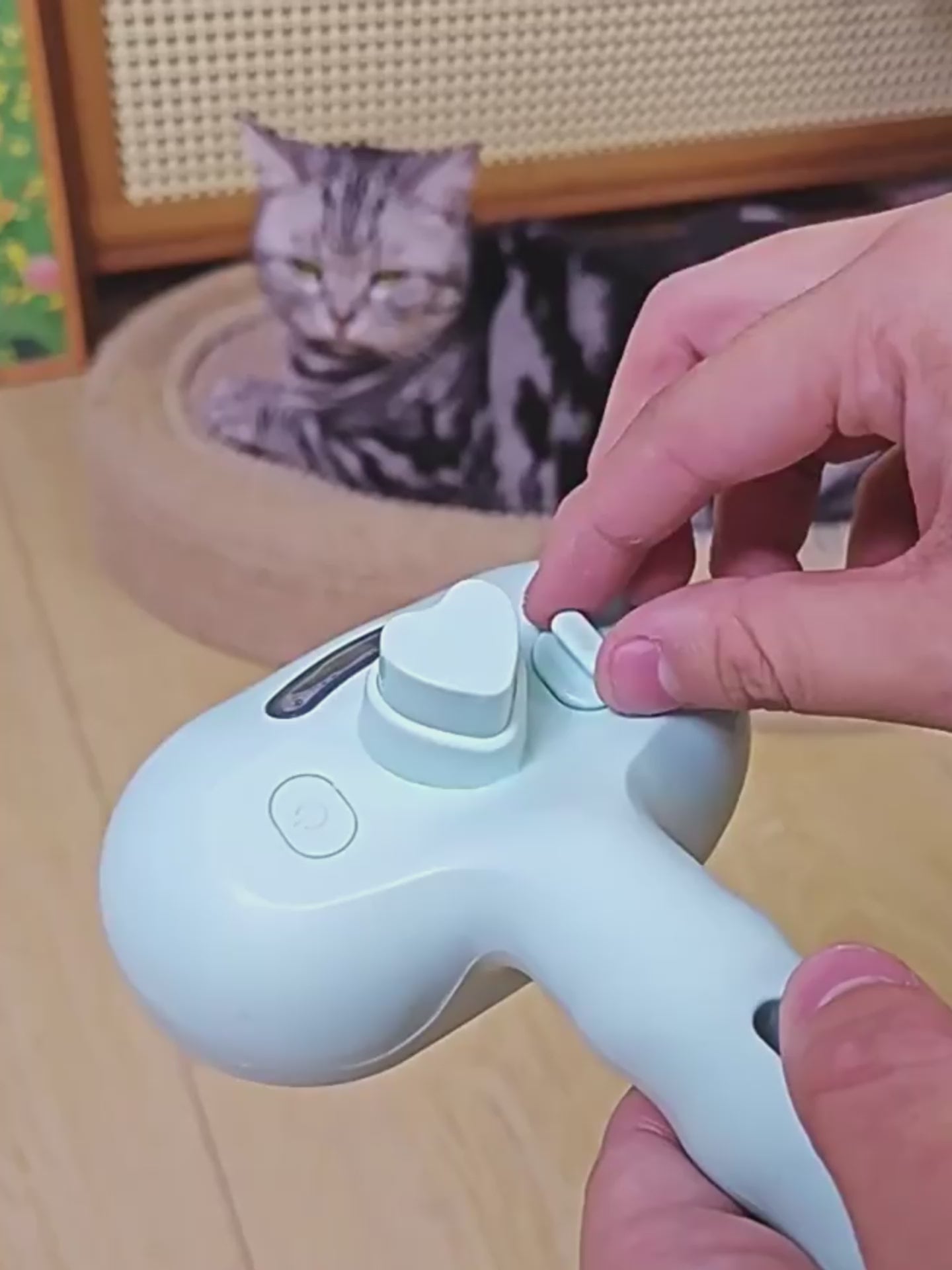 Cat & Dog Spray Grooming Comb Hair Remover Brush